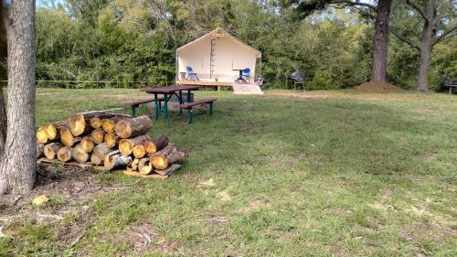 Coldspring的住宿－Khushatta Hills Ranch Glamping - Mom Mollie，野餐桌和树旁的一堆木头