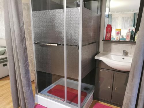 La salle de bains est pourvue d'une douche en verre et d'un lavabo. dans l'établissement ACCUEIL LAFAYE21, à Orthez