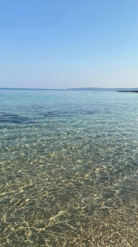 a large body of water with rocks in the water at L'oasi Una Pineta Sul Mare in Custonaci