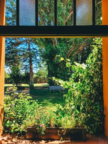 a window view of a garden with a bench in a park at Finca La Saucina Casa de Campo in Tunuyán