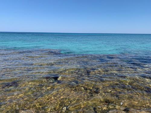 a large body of water with rocks and the ocean at L'oasi Una Pineta Sul Mare in Custonaci