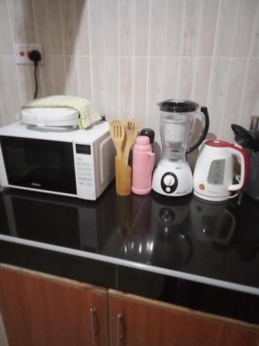 un comptoir de cuisine avec un four micro-ondes et un mixeur dans l'établissement Victoria apartments, à Mtwapa