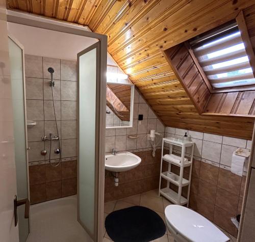 ein Bad mit einem Waschbecken, einer Dusche und einem WC in der Unterkunft Tóth Vendégház in Bük