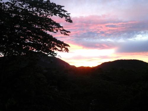 リゾートの近くで見られる自然の景観