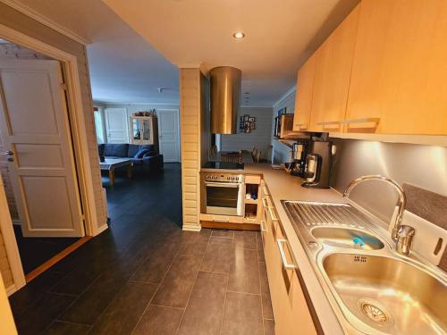 uma cozinha com um lavatório e um fogão forno superior em Apartment in Sinnes Fjellstua 7 em Sinnes