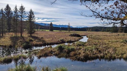 a stream in a field with trees and mountains at LIBORIA I Traumhafte Ferienwohnung in Aidling am Riegsee in Riegsee