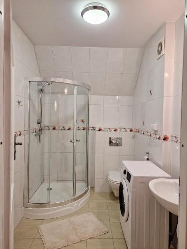 a bathroom with a shower and a toilet and a sink at Apartament Gwiazda 503 in Krynica Zdrój