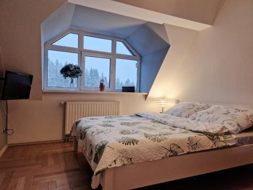 a bedroom with a bed and a window at Apartament Gwiazda 503 in Krynica Zdrój