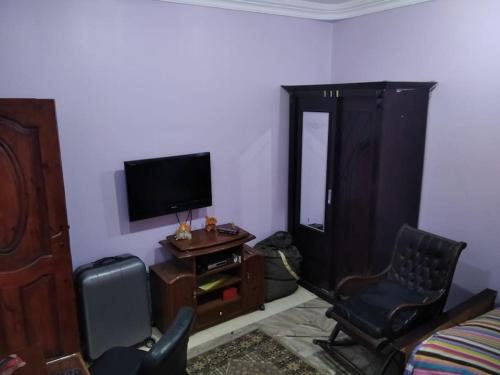 uma sala de estar com uma cadeira e uma televisão em Duck Nest (Kak Kak) no Cairo