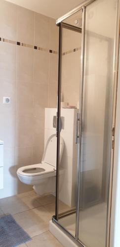 La salle de bains est pourvue de toilettes et d'une cabine de douche en verre. dans l'établissement Studio Meublé-Juan Pins-Logt2, à Antibes