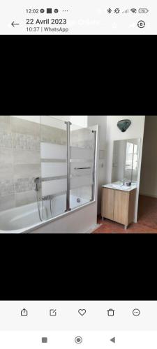 une salle de bain avec une douche, un lavabo et un miroir dans l'établissement Appartement chic Haussmanien, à Collobrières