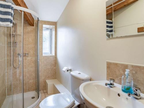 La salle de bains est pourvue de toilettes, d'un lavabo et d'une douche. dans l'établissement 2 Bed in Llangenny BN284, à Llangenny
