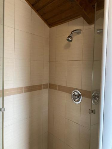 een douche met een douchekop in de badkamer bij Marcsi Apartmanok in Hajdúszoboszló
