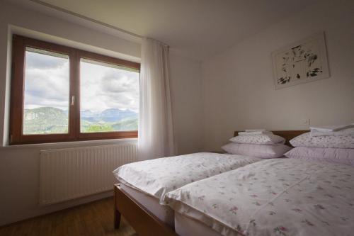 Gallery image of Villa Bohinj in Bohinj