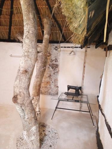 a room with a tree and a table at Hotel y Museo Aldea Maya Toktli Orígenes - Suite Casa Maya Del Jabín - Alberca, Wifi Starlink, Tour Museo in Izamal
