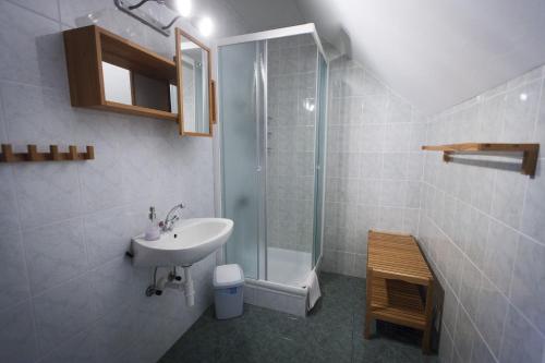 Ванна кімната в Villa Bohinj