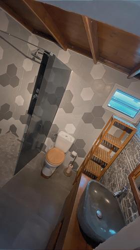 a bathroom with a sink and a shower and a toilet at la savane in Terre-de-Haut