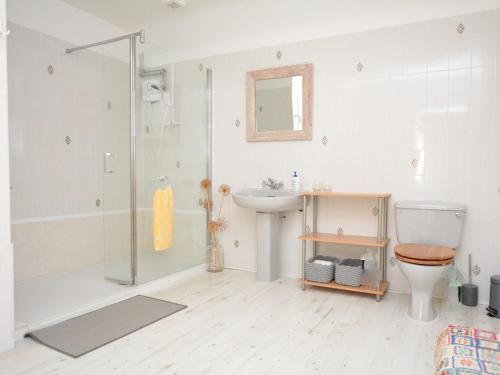 y baño con ducha, aseo y lavamanos. en 2 Bed in Carnoustie 58026, en Monikie