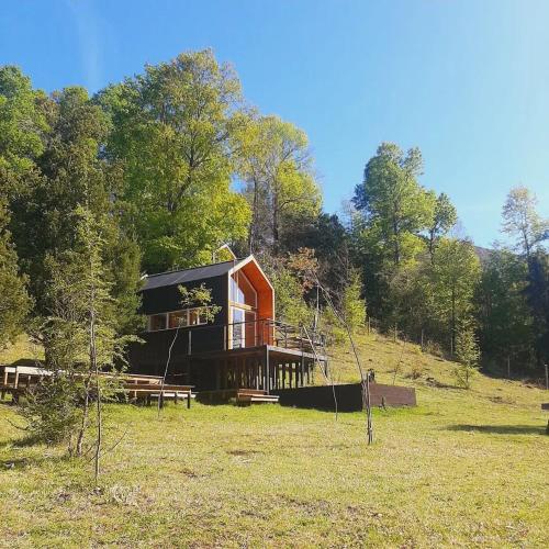 a cabin in the middle of a field with trees at Tiny House Conguillio in Melipeuco