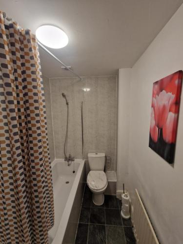 A bathroom at Primos Castle - 1 Bedroom in North Shields