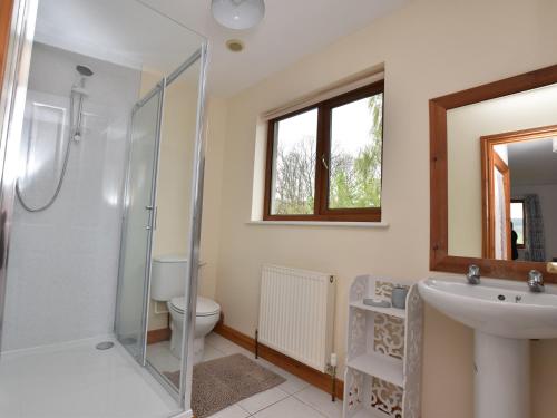 a bathroom with a shower and a sink and a toilet at 3 Bed in Brecon 83076 in Aber-Brân