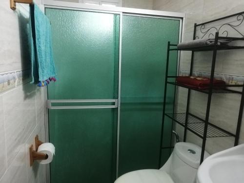 a green shower door in a bathroom with a toilet at Cerca del aeropuerto HABITACIÓN INDEPENDIENTE CON BAÑO PRIVADO Área muy tranquila entre chanis y costa del este in Panama City