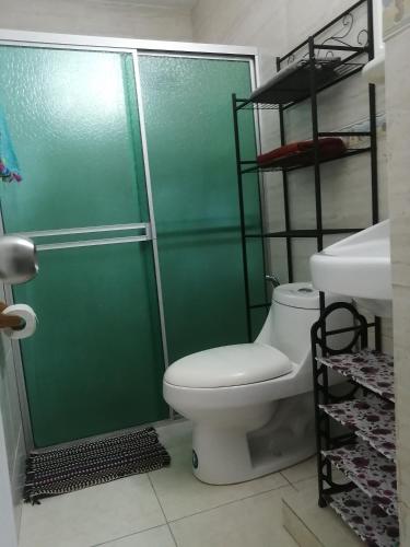 Koupelna v ubytování apartamentito tipo estudio AMUEBLADO tranquilo y acogedor cocina y baño privado independiente en CHANIS cerca de Costa del este