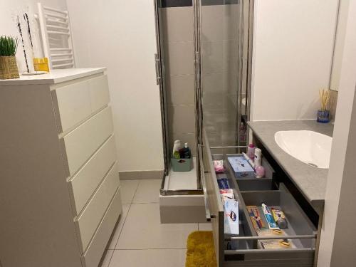a bathroom with a sink and a shower and a sink at Paris-Versailles-Cosy-Calme-WIFI in Paris
