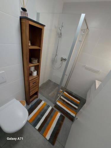 a bathroom with a staircase with a toilet and a rug at Unicorn Apartment in Nüziders