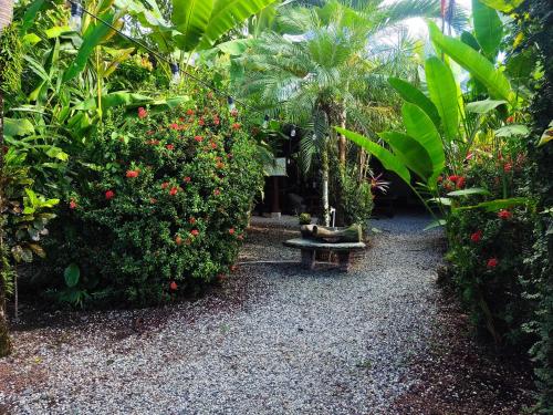 a garden with a bench and some plants at Cabinas Tropicales in Puerto Jiménez