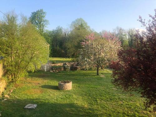 a field with a tree and a basket in the grass at La Belle Vie du Vexin , à une heure de Paris in Parnes