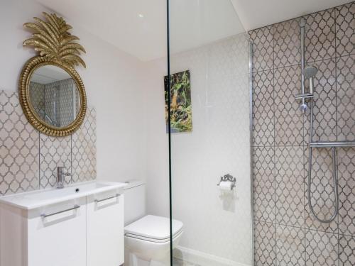 a bathroom with a shower and a toilet and a mirror at 2 Bed in High Bickington 49558 in High Bickington