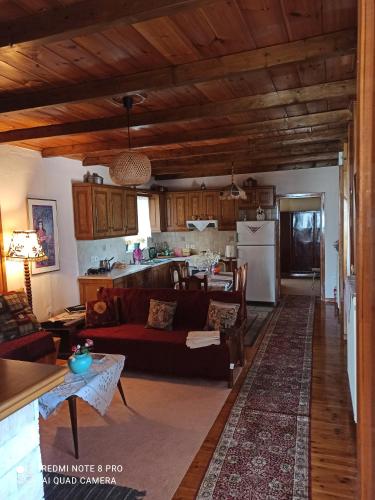 a living room with a couch and a kitchen at ΕΞΟΧΙΚΟ ΜΑΡΙΑ in Pávliani
