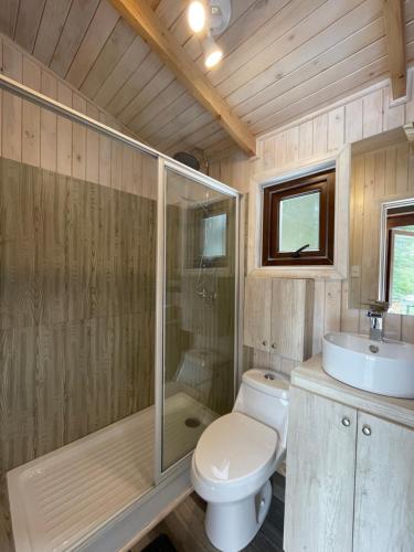 a bathroom with a toilet and a shower and a sink at Cabañas Los Huemules in Malalcahuello