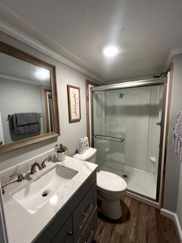 a bathroom with a shower and a toilet and a sink at Relaxing Cabin Near Raysville in Thomson