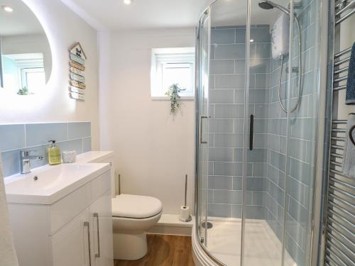 a bathroom with a shower and a toilet and a sink at Spring Cottage in Norwich