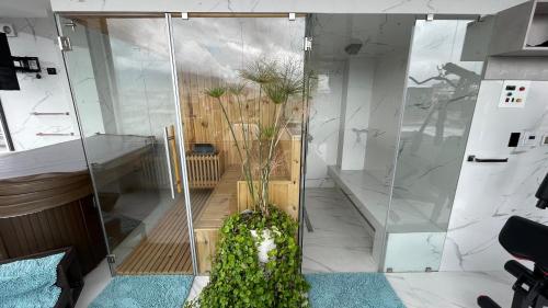 a glass shower with plants in a room at Lujoso penthouse con vista panoramica in Quito