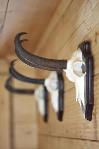 a pair of horns hanging on a wall at Hotel Walliserkanne in Grächen