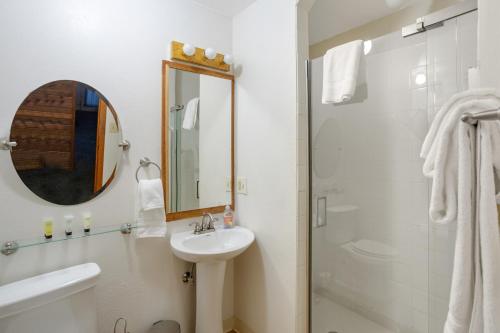 a white bathroom with a sink and a shower at Darwin's in Girdwood