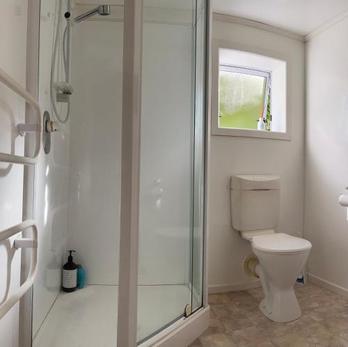 a bathroom with a toilet and a glass shower at Hill View Abode Tawa in Wellington