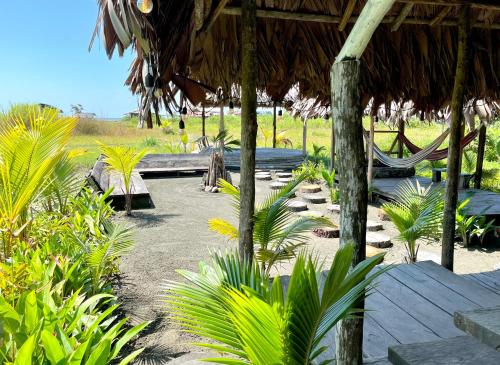 ośrodek wypoczynkowy z hamakiem i roślinami w obiekcie HOSTAL CASITA MATATA w mieście Buenaventura