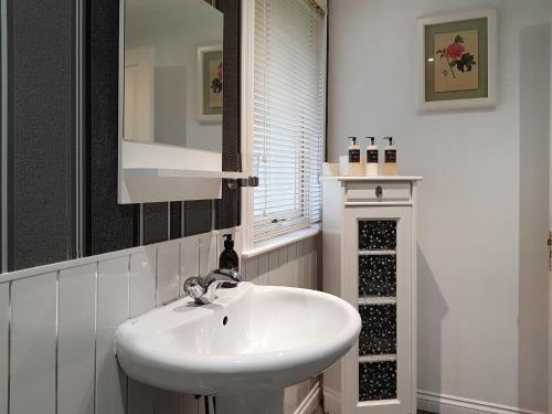 uma casa de banho com um lavatório branco e uma prateleira para vinhos em Leven Lodge 2 - Uk46044 em Balloch