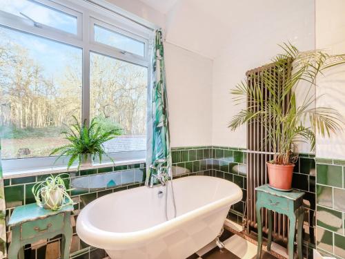 a bathroom with a tub and two potted plants at Clumber Lodge in Retford