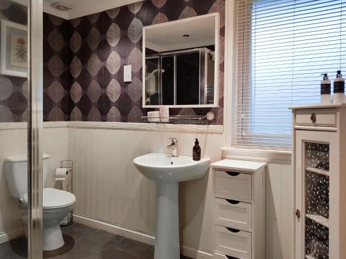 a bathroom with a sink and a toilet and a mirror at Leven Lodge 3 - Uk46045 in Balloch