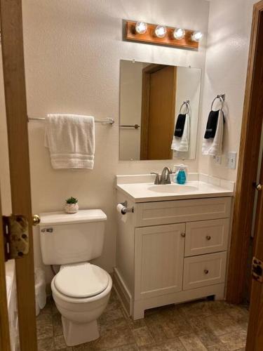a bathroom with a toilet and a sink and a mirror at Retro Oasis • Ms. Pac-Man • 2BR • Parking • Boise in Boise