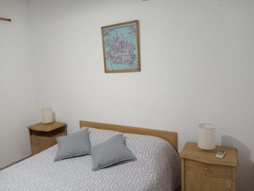 1 dormitorio con 1 cama con 2 almohadas y 1 foto en Departamento céntrico 2 en Mendoza