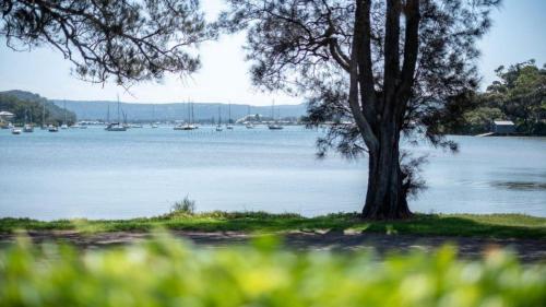 a tree sitting next to a body of water with boats at 'Reverie' by HolidayCo in Hardys Bay