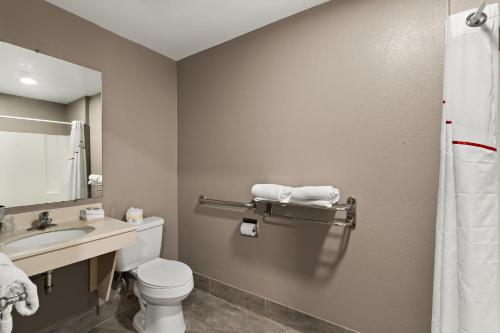 W łazience znajduje się toaleta, umywalka i lustro. w obiekcie Red Roof Inn Martinsburg w mieście Martinsburg