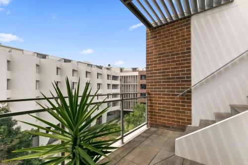 roślina na balkonie budynku w obiekcie 1 Bedroom with Rooftop Terrace-Alice72 Self Catering w mieście Sydney