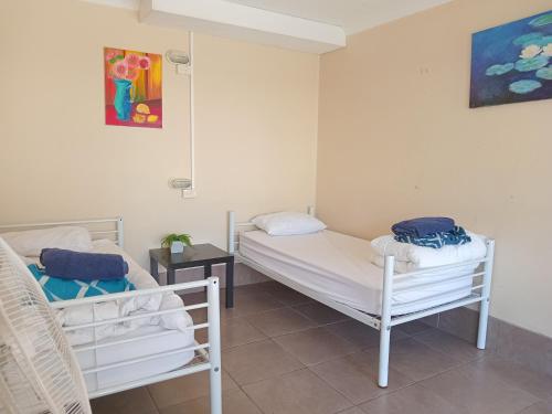 a room with two beds and a painting on the wall at Hervey Bay Flashpackers in Hervey Bay